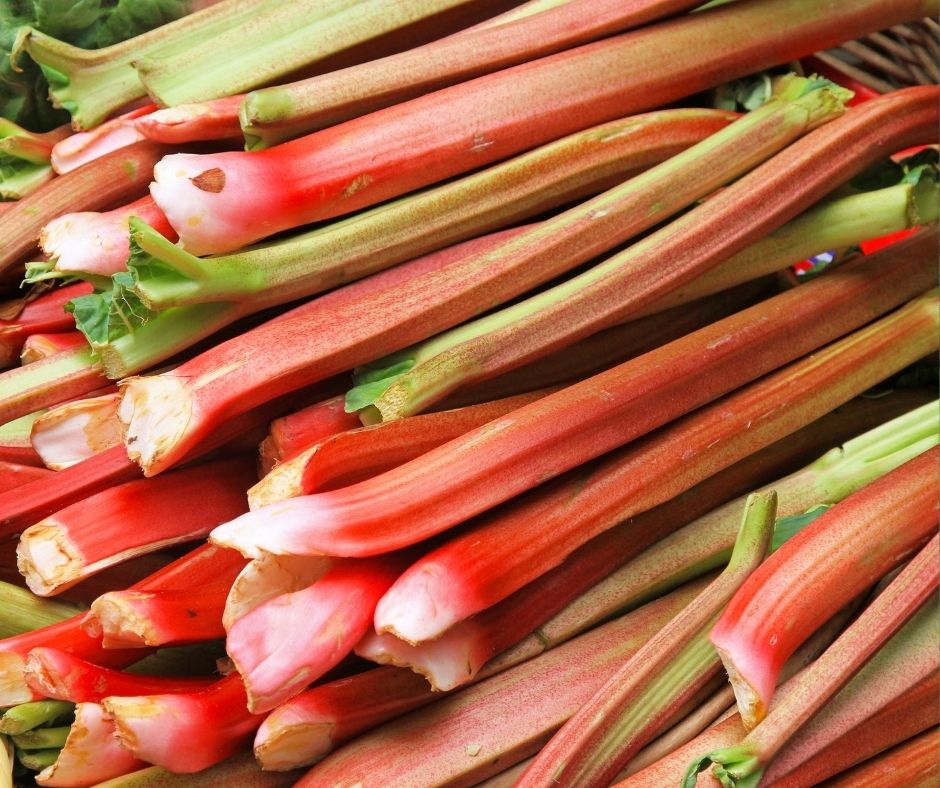 Yorkshire Rhubarb Festival