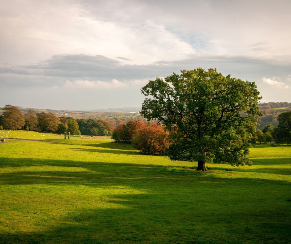 Yorkshire Sculpture Park - Wakefield