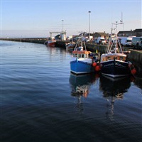 Amble Coast Coach Trip