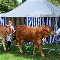 Harrogate Great Yorkshire Show Coach Excursion