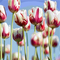 Cherryhill Garden Centre Northallerton Coach Excursion
