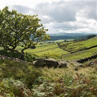 Skipton Coach Trip