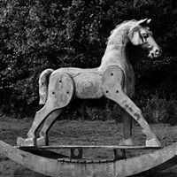 Yorkshire Sculpture Park Horse Statue Coach Trip