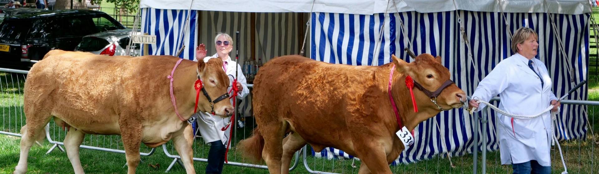 Harrogate Great Yorkshire Show
