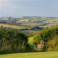 Scenic Coach Tour Destination