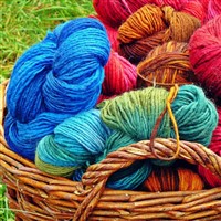 Knitting & Stitching Special Interest Coach Trip
